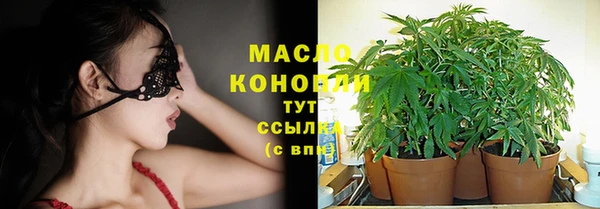 дмт Абаза