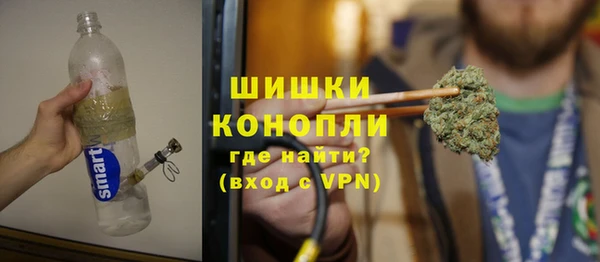 ПСИЛОЦИБИНОВЫЕ ГРИБЫ Новозыбков