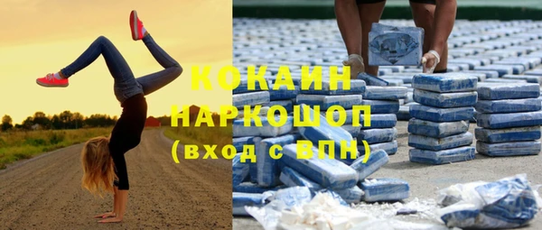 дмт Абаза
