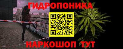 шишки Татарск