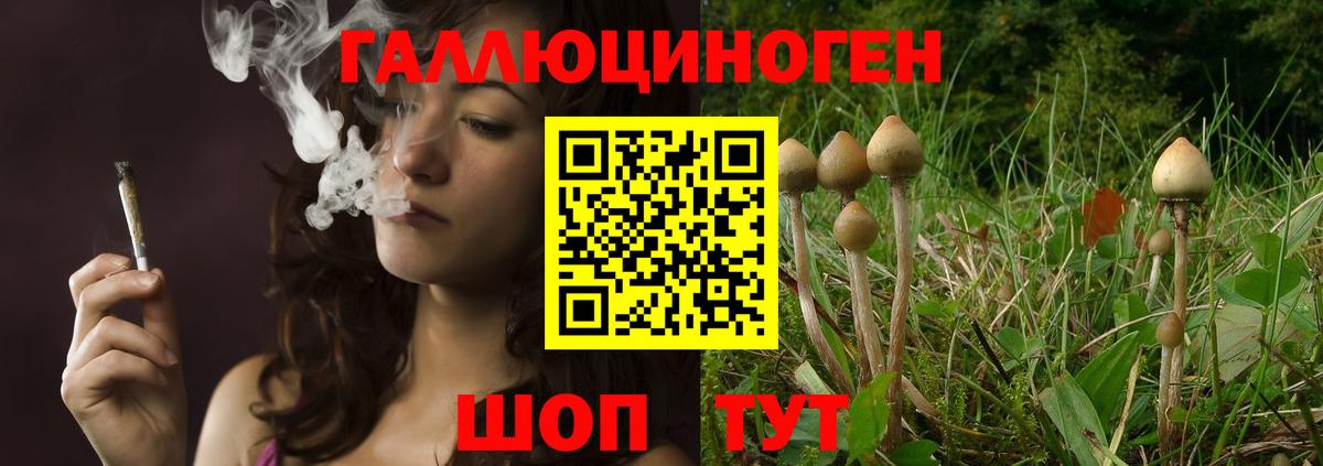 Псилоцибиновые грибы ЛСД Алейск